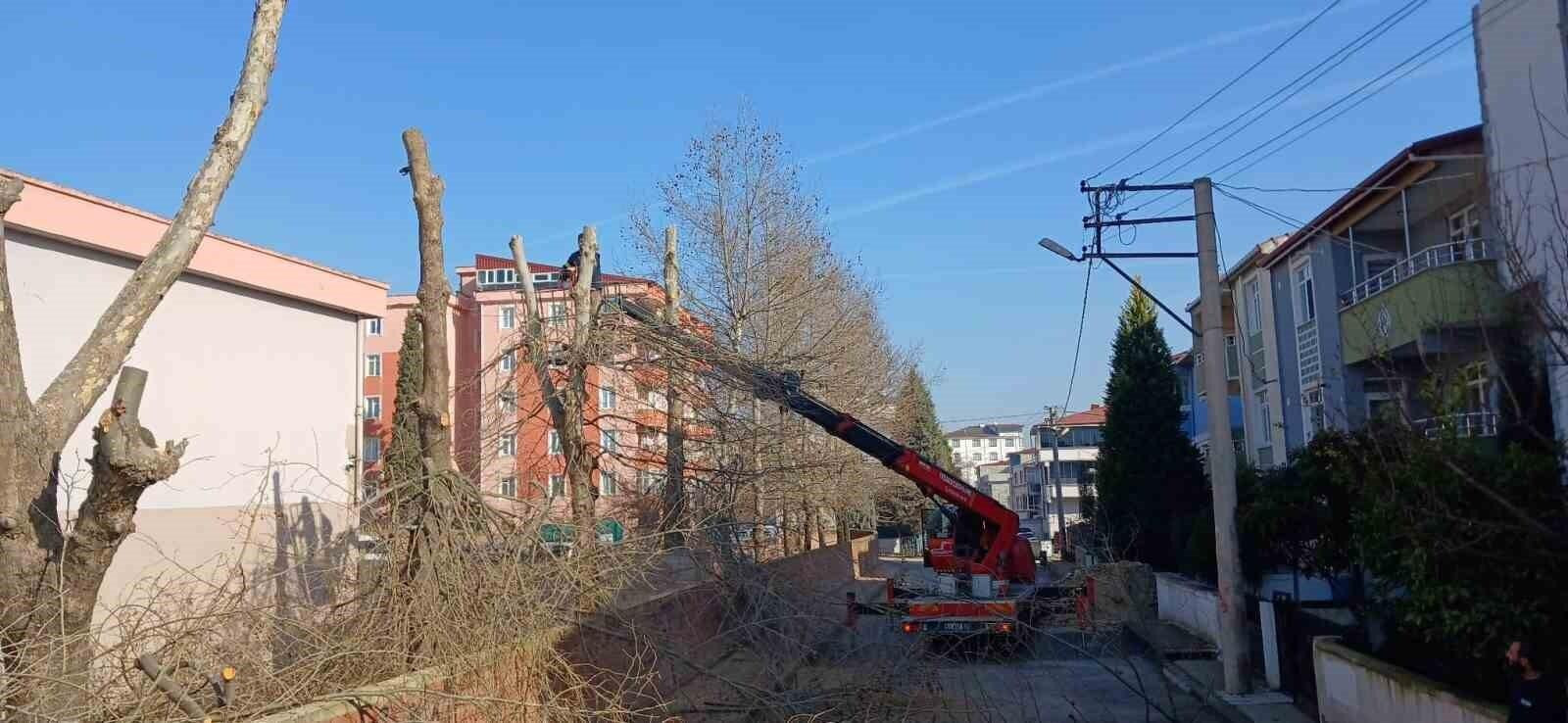 Dilovası’nda Öğrenciler İçin Güvenli Ortam Sağlamak Adına Ağaç Budama Çalışmaları