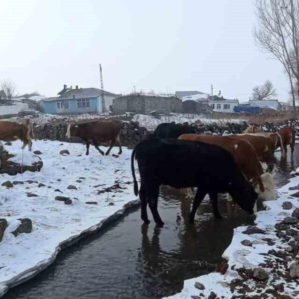 Donmuş dere üzerinde kürek taşıyan bir çiftçi-1