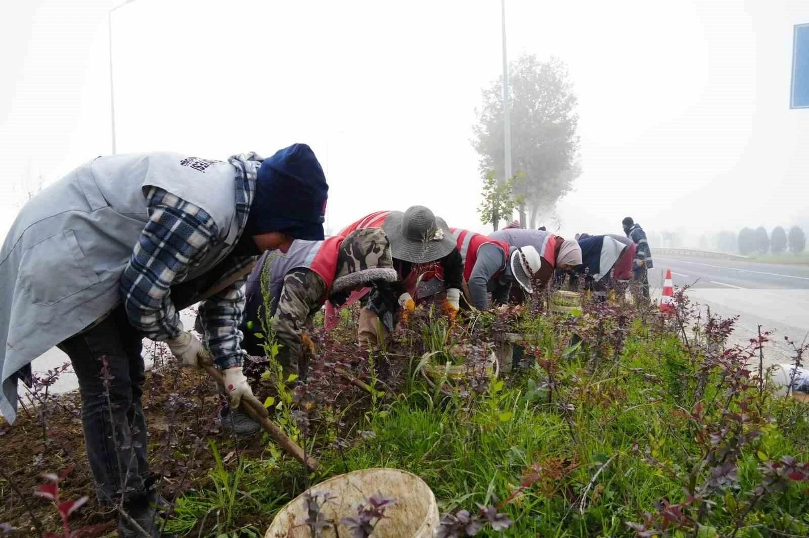 Düzce Belediyesi’nin Park ve Yeşil Alan Çalışmaları: 2024’te Kentte Rejenerasyon