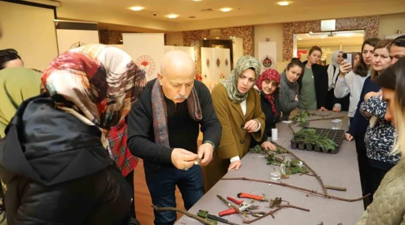 Düzce'de Tarımda Kadın Eli Projesi'nde Meyve Ağaçlarında Budama Eğitimi 1