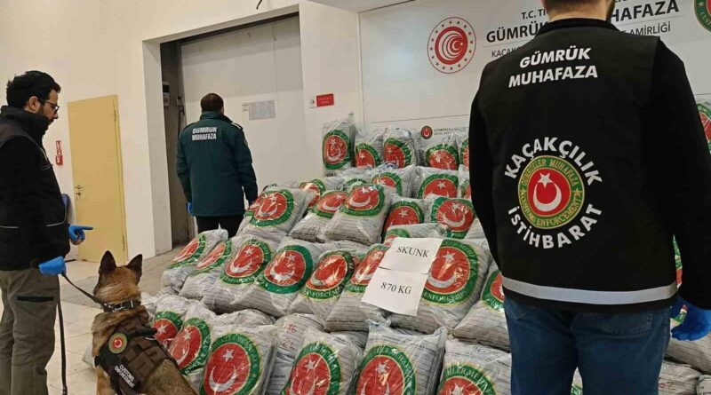 Edirne'de Hamzabeyli Sınır Kapısı'nda 870 Kilogram Skunk Ele geçirildi 1