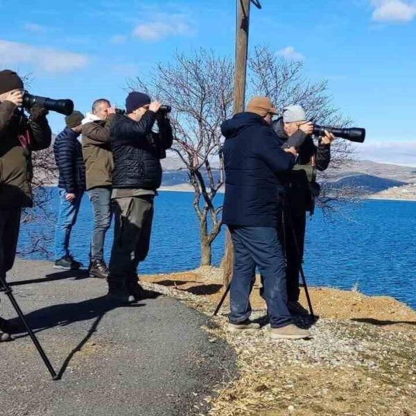 Elazığ'ın sulak alanlarında yapılan araştırma-2