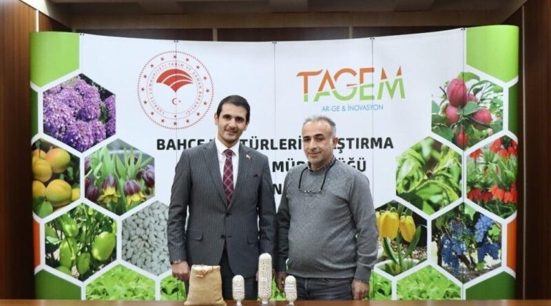 Erzincan Bahçe Kültürleri Enstitüsü, 'Işıl' ve 'Erzincan Dermasonu' Kuru Fasulye Genotiplerini Tescillendirmek İçin Başvurdu 1