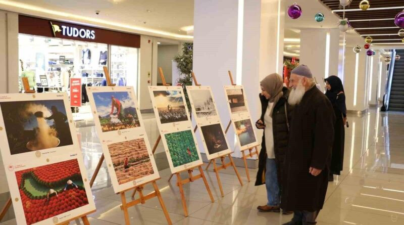 Erzincan'da 14. Uluslararası Tarım, Orman ve İnsan Fotoğraf Sergisi Açıldı 1