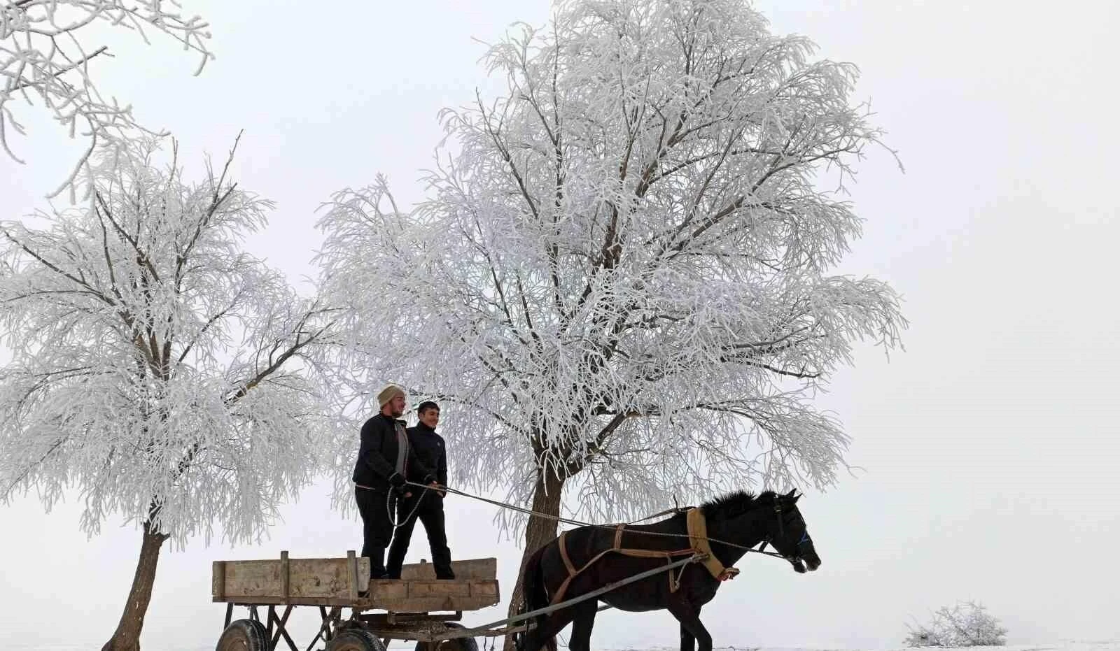 Erzincan’da Hava Soğdu, Otlukbeli’nde Eksi 20 Derece