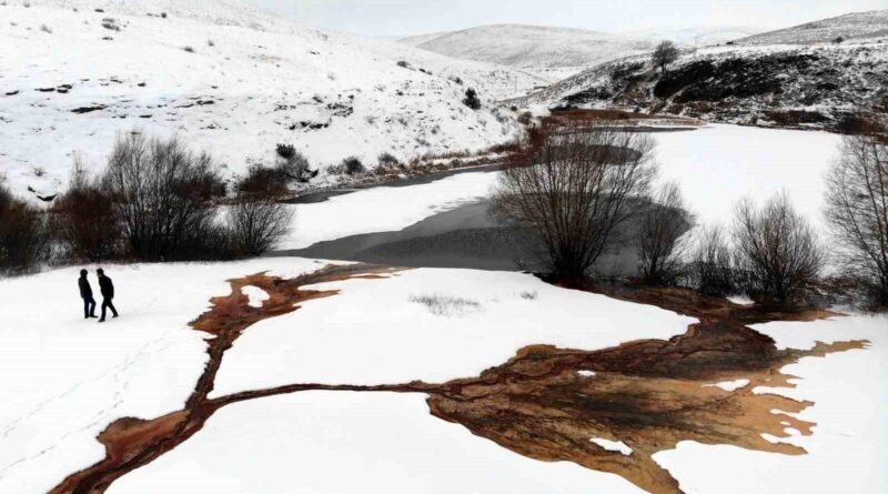 Erzincan'da Soğuk Hava Sıcaklıkları Eksi 22 Derecede Düştü 1