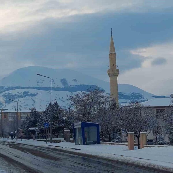 Erzurum'da kar yağışı nedeniyle ulaşımda sıkıntı-1