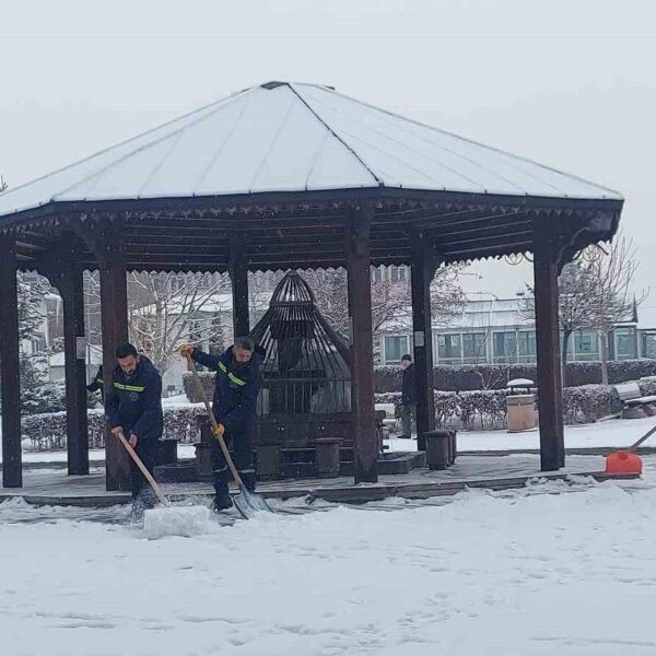 Erzurum'da kar yağışı nedeniyle ulaşımda sıkıntı-3