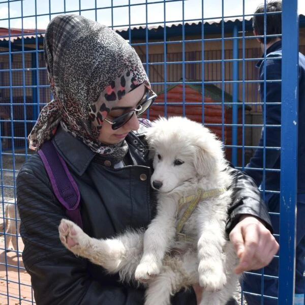 Erzurum'da yeni hayvan bakımevi inşaatı-8