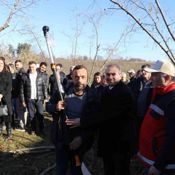 Fındık budama yarışmasında üreticilerin budama tekniklerini sergilediği bir sahne-5