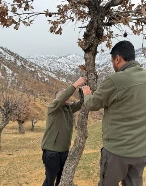 Foto kapanlar yaban hayvanlarının geçiş güzergahlarında kurulmuştur.-1