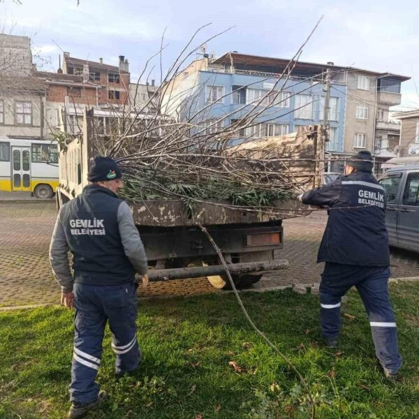 Gemlik'te temizlenen otobüs durakları-2