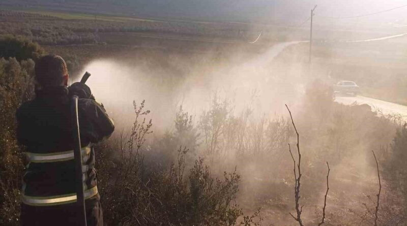 Hatay Yayladağı'nda Zeytinlik Yangını Söndürüldü 1