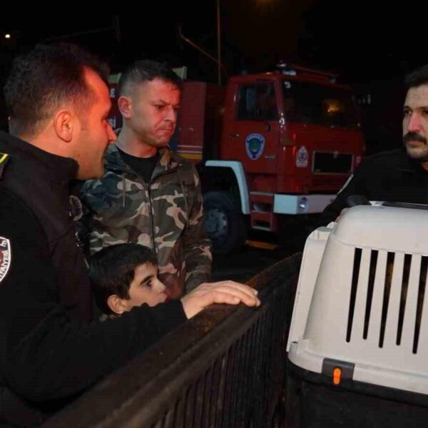 Hera ve İglo Konya'da Enkazda Çalışıyor-2