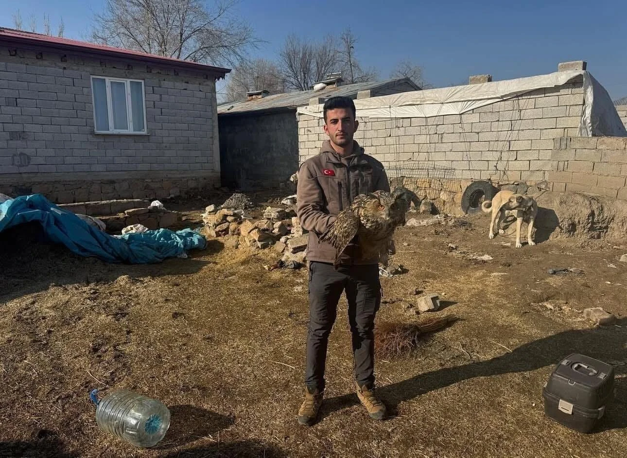 Iğdır’da Soğuk Hava ve Yetersiz Beslenme Nedeni İle Yaralanan Puhu Kuşu Tedavi Altına Alındı