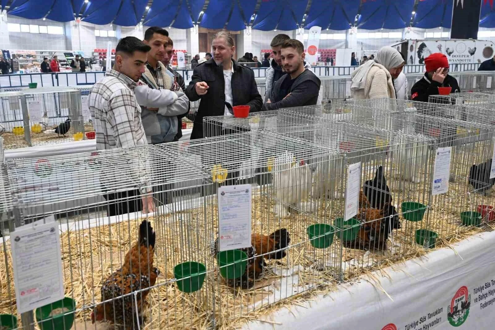 Isparta’da 8. Ulusal Kümes Hayvanları Gösterisi