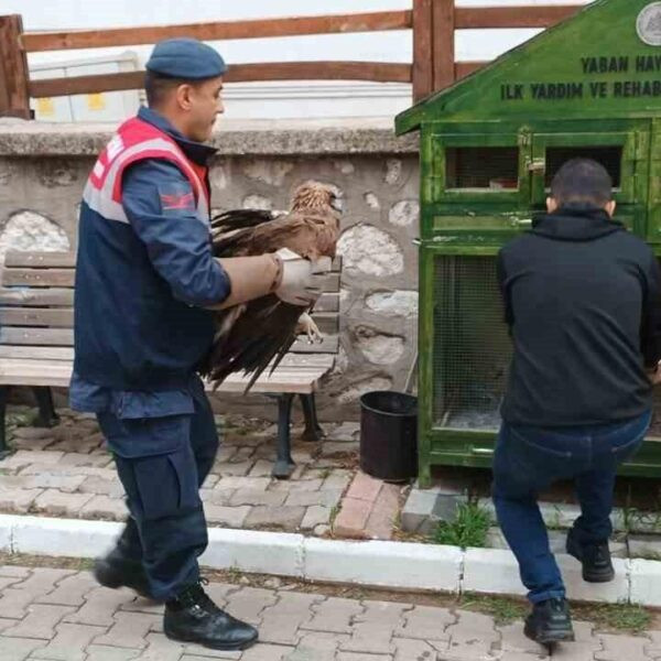 Jandarma ekibinin Kızıl Şahin'i teslim alması-2