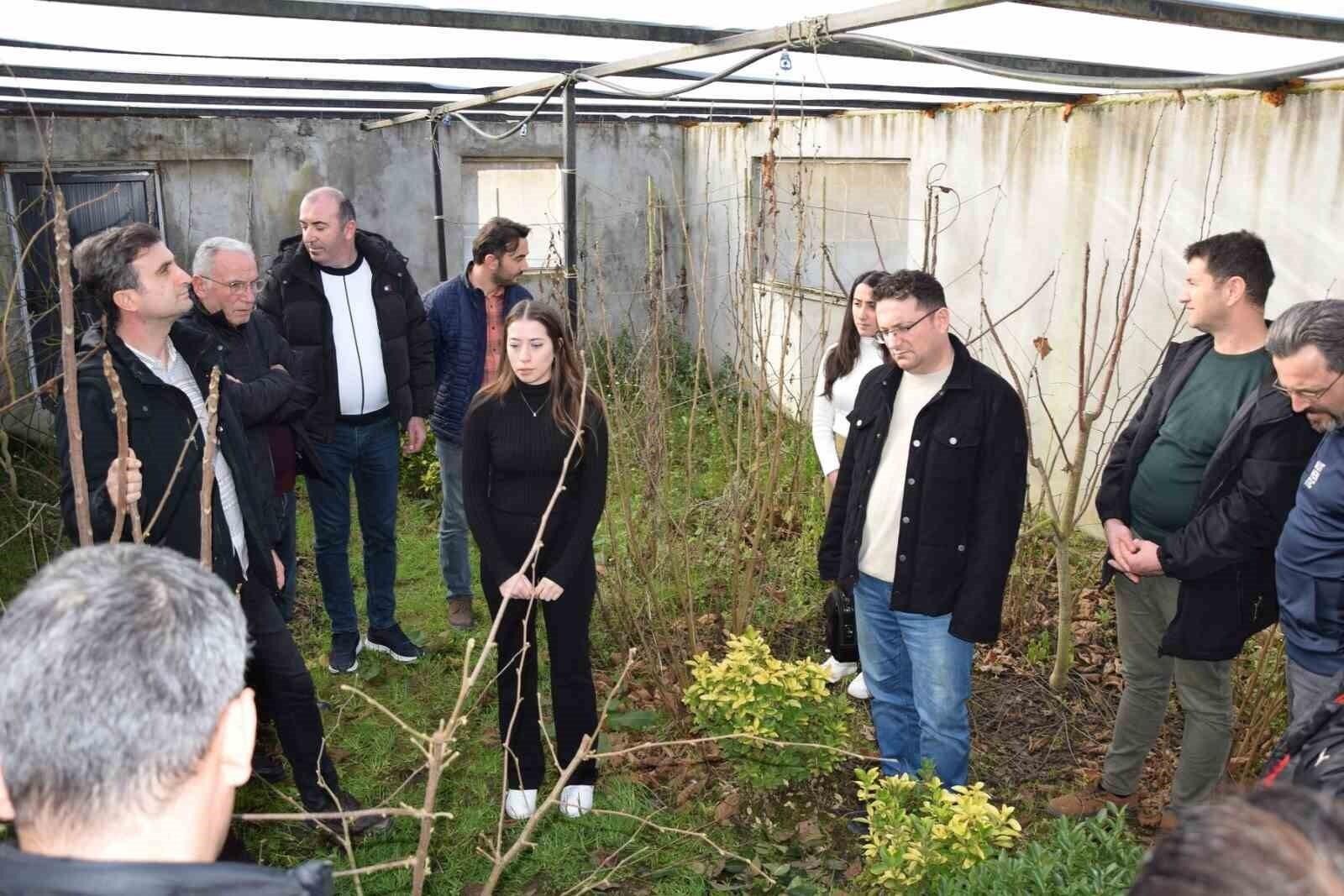 Kahverengi Kokarca ile Mücadele İçin Bilgilendirici Toplantı: Samsun, Ordu ve Giresun’da Önemli Aşamalar