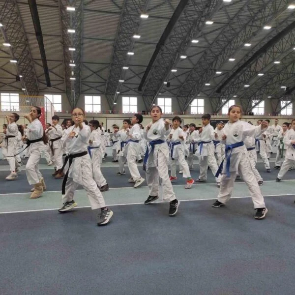 Karate Eğitim Semineri'nde sporcular-4