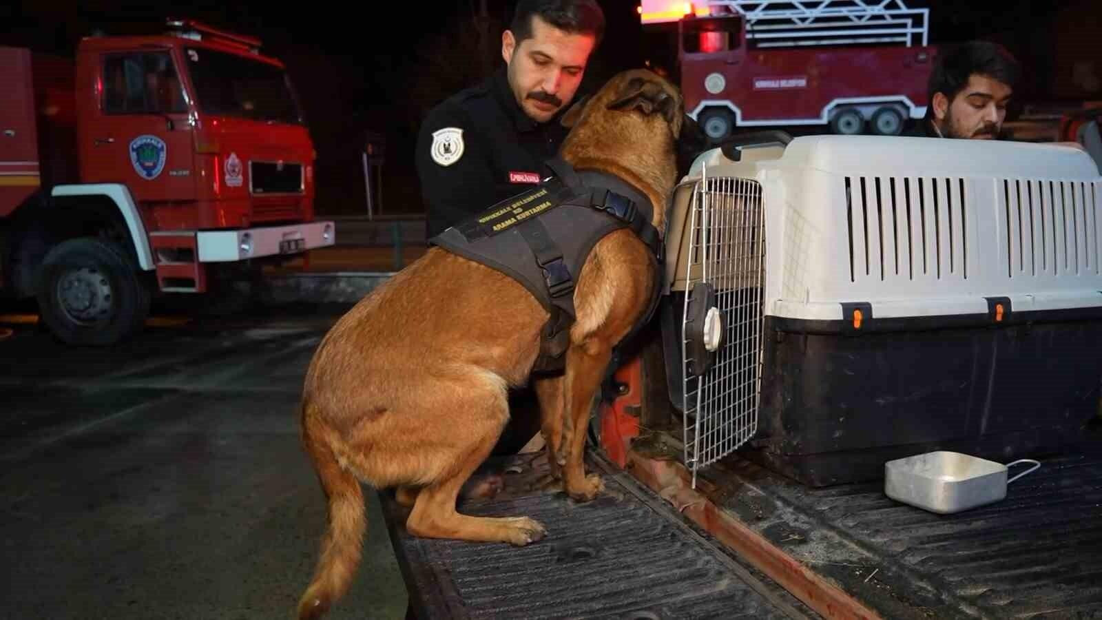 Kırıkkale’den K9 Köpekleri Konya’ya: Hera ve İglo Enkazda Arama-Kurtarma Çalışmalarına Katılıyor