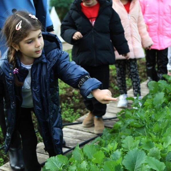 Kırsal mahallelerde ekim çalışması-2