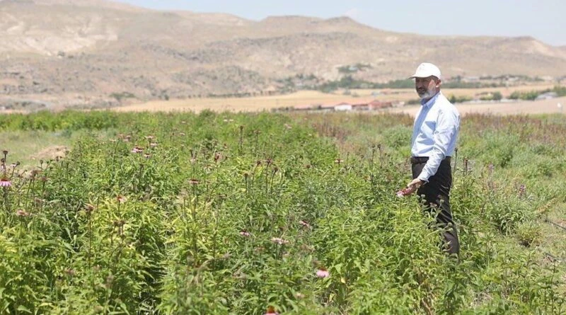 Kocasinan Belediye Başkanı Ahmet Çolakbayrakdar: Tarım Üretiminde Dünya Standartları 1