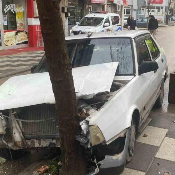 Köpeğe manevra yapan otomobilin ağaca çarpması-3