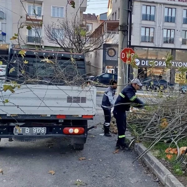 Körfez Belediyesi ekipleri parkta bakım çalışması yapıyor.-1