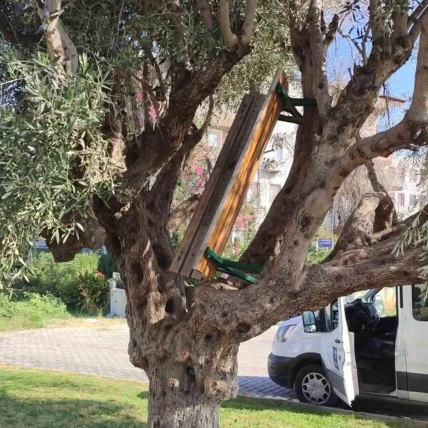 Kuşadası Belediyesi'nin park ve plajları tahrip edenlere karşı aldığı hukuki tedbirler hakkında yapılan açıklama-4