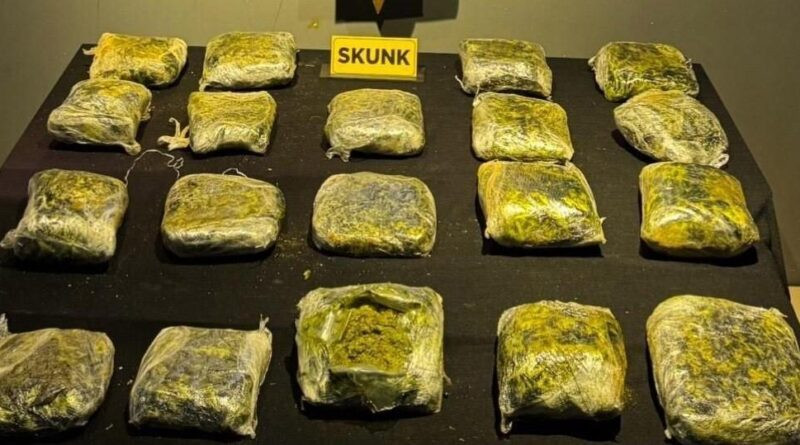 Malatya'da Peynir Bidonlarına Gizlenmiş 12 Kilo Skunk Ele Getirildi 1