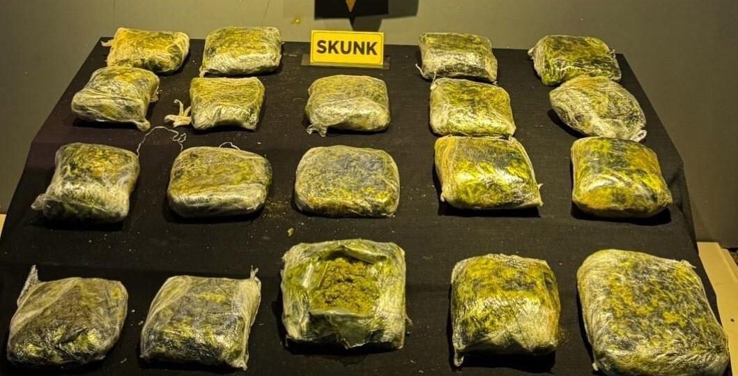 Malatya’da Peynir Bidonlarına Gizlenmiş 12 Kilo Skunk Ele Getirildi