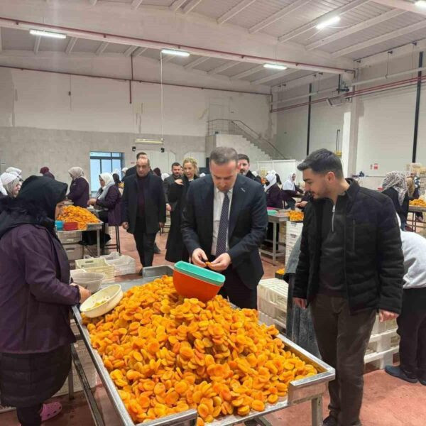 Malatya Organize Sanayi Bölgesi'ndeki fabrikaların deprem sonrası durumu.-2