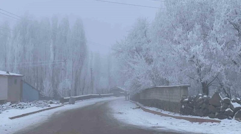 Malazgirt'te Sibirya Soğukları Kartpostallık Manzaralar Yarattı 1