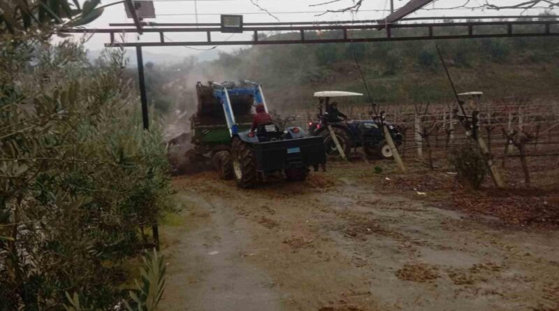 Manisa Sarıgöl'de Yağmur Sevindi Çiftçileri 1