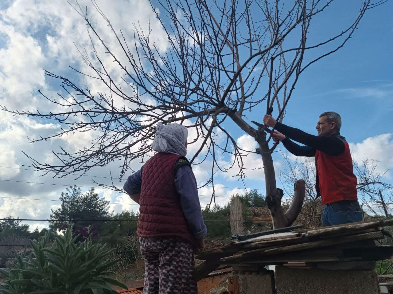 Menteşe’de Meyve Ağaçlarında Hastalık ve Zararlılarla Mücadele Eğitimleri