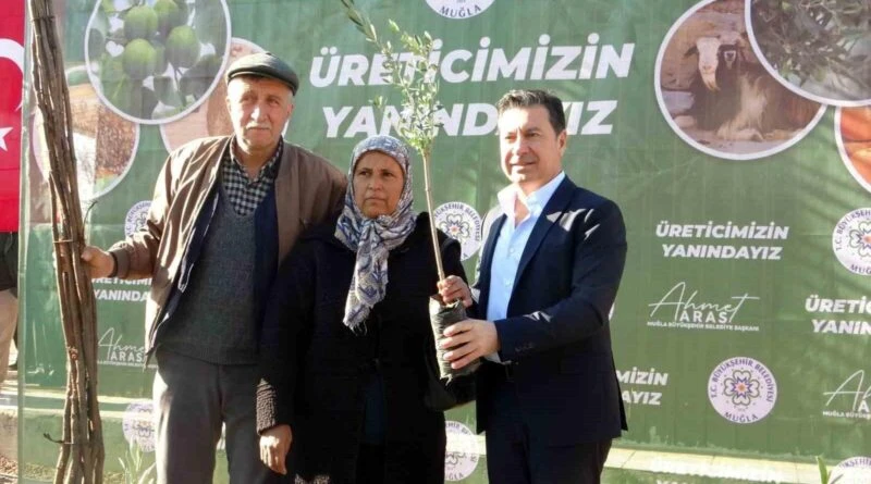 Muğla'da Çiftçilere 110 Bin Fidan Dağıtımı 1