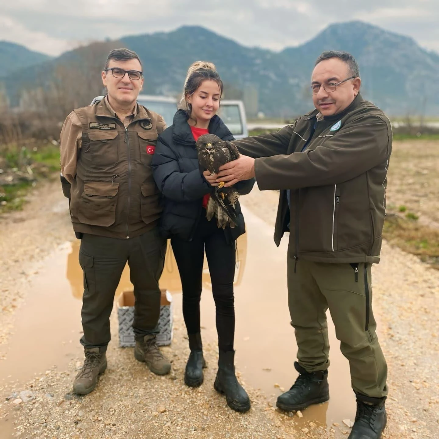 Muğla’da Duyarlı Vatandaş Yaralı Şahini Kurtardı