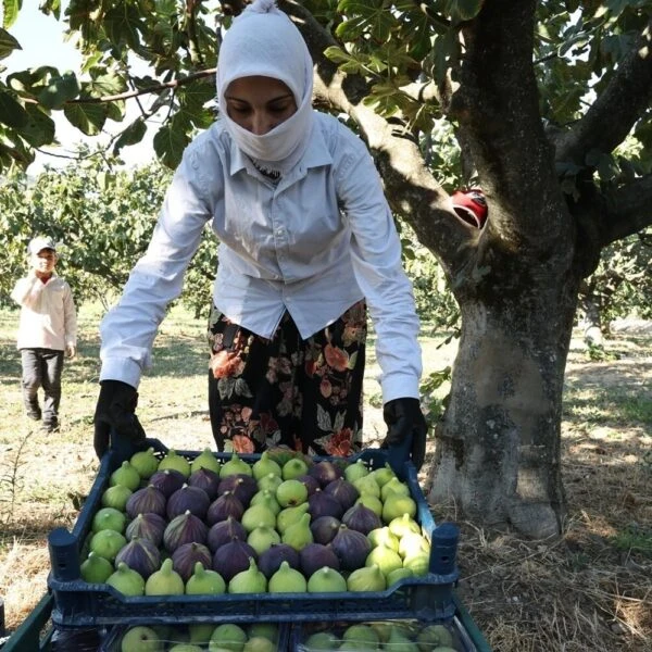 Nilüfer Belediye Başkanı Şadi Özdemir-7