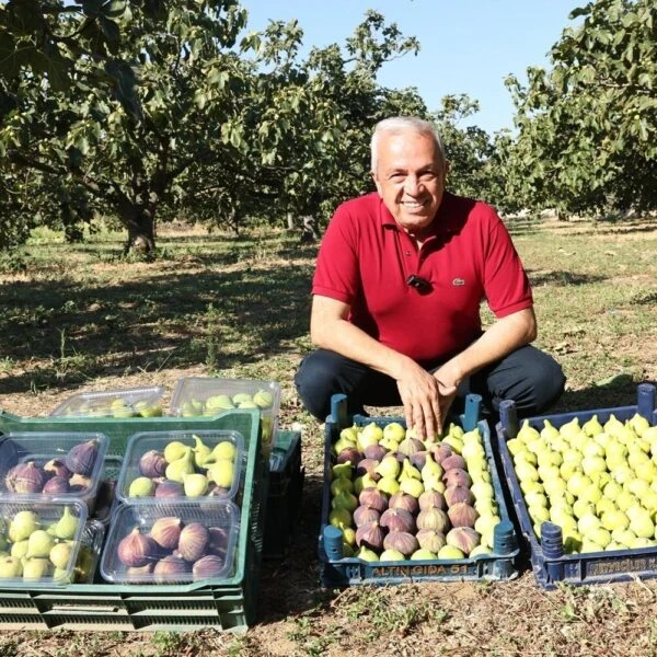 Nilüfer'deki bir tarım alanı-6