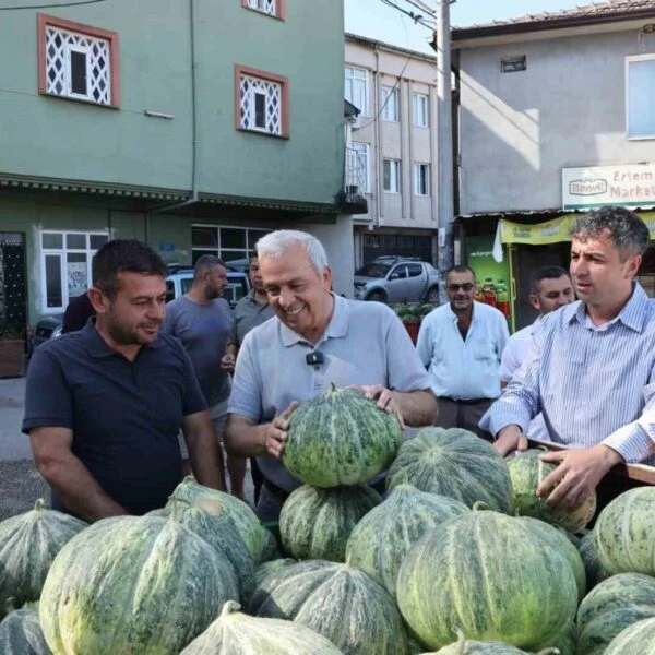 Nilüfer'deki bir tarım alanı-8