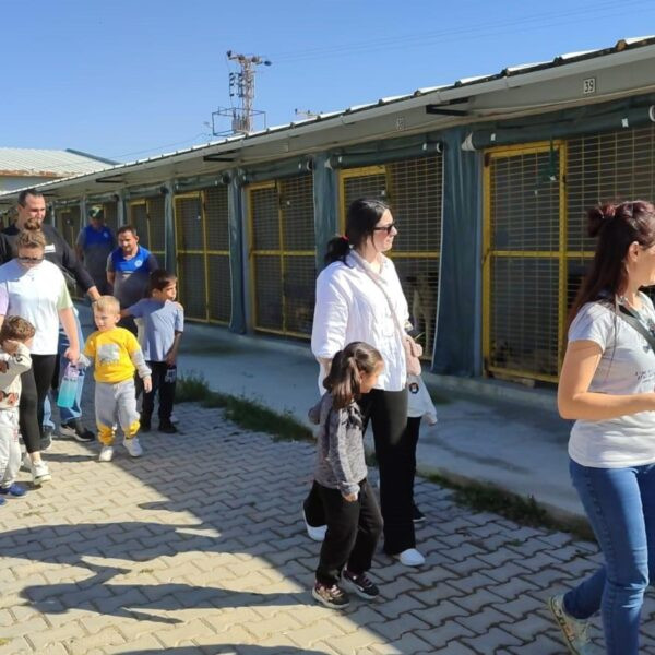 Odunpazarı Belediyesi Sahipsiz Sokak Hayvanları Bakım ve Rehabilitasyon Merkezi'nde kreş çocuklarıyla hayvan sevgisi eğitimi.