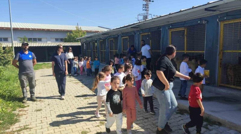 Odunpazarı Kreş Çocukları, Sahiplenme Çağrısıyla Sokak Hayvanlarıyla Buluştu 1