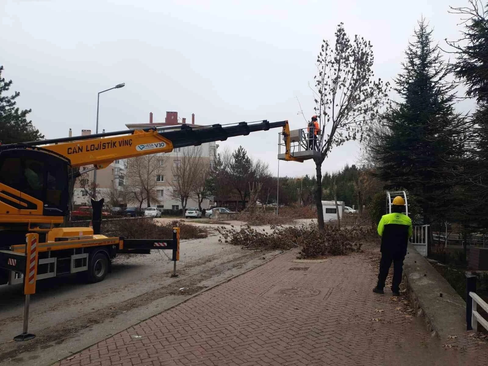 Odunpazarı’nda Ağaç Budama Çalışmaları Devam Ediyor