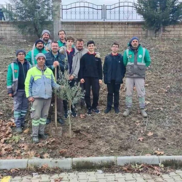 Öğrenciler, öğretmenler, veliler ve mezunlar zeytin ağacı dikmek için bir araya geldi-5