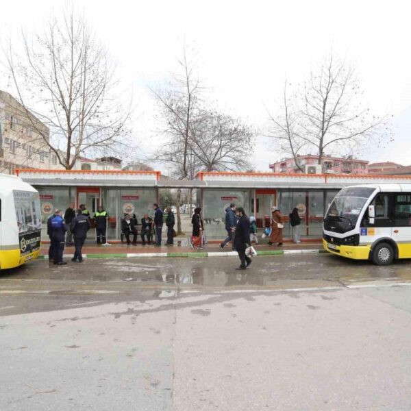 Park ve yeşil alanlarda budama çalışmaları-5