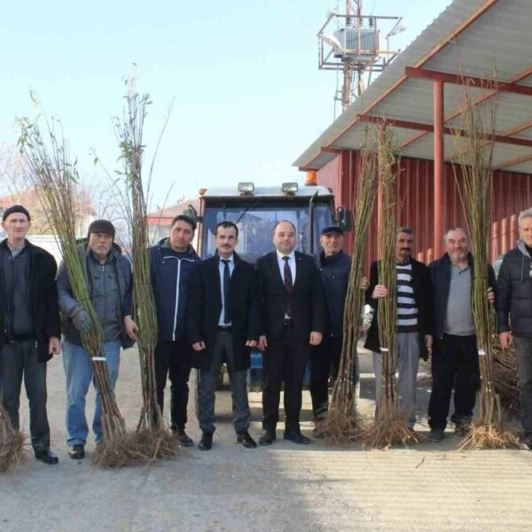 Pazar İlçe Kaymakamı Ramazan Teke'nin fidan teslimat töreninde yer aldığı görüntü