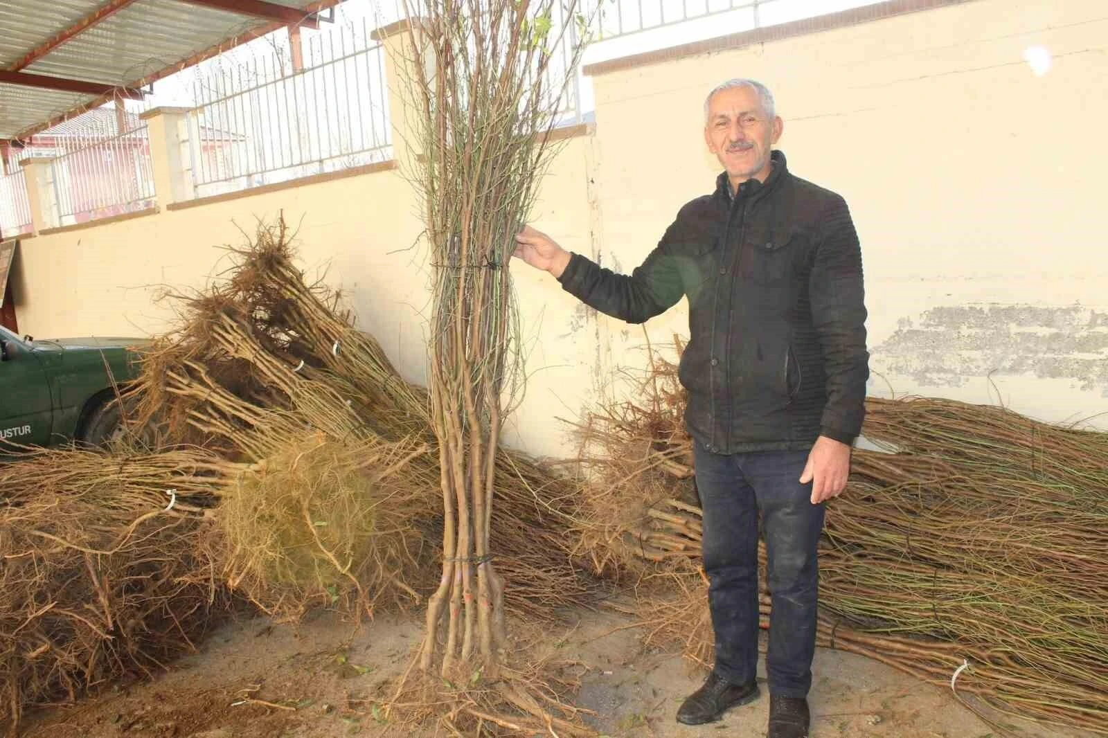 Pazar İlçesinde 1000 Badem Fidanı Teslim Edildi