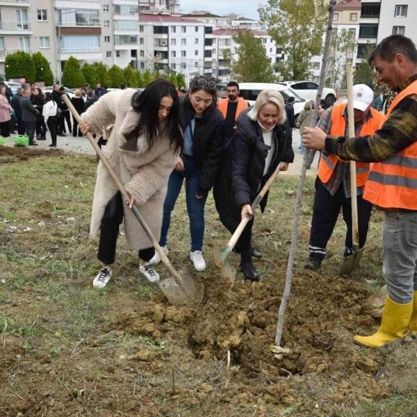 Samsun Atakum'da yeni dikilmiş ağaç fidanları-1