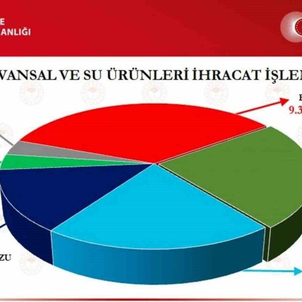 Samsun'da su ürünleri ihracatı-2