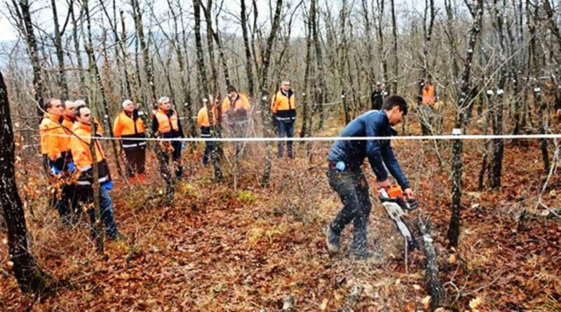 Samsun Orman Köylülerinin Endüstriyel Odun Üretimi ile 698 Milyon TL Gelir Elde Etti 1